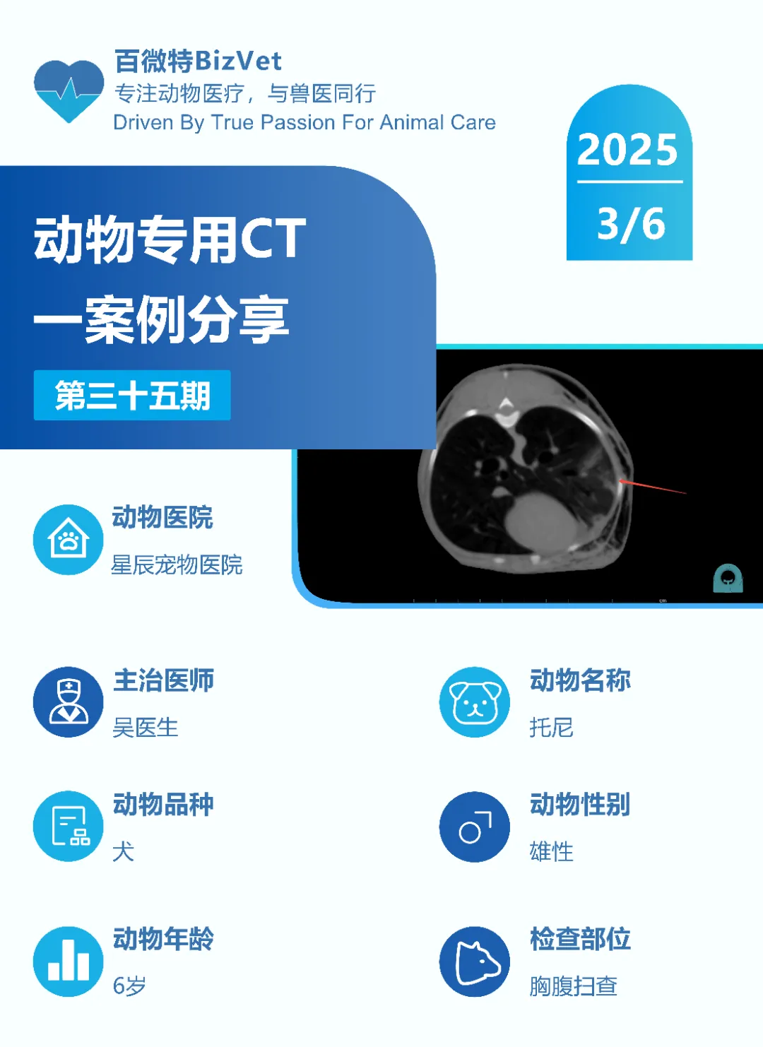 动物CT案例分享(第三十五期):如何通过CT扫描快速诊断犬外伤性疾病 - 我的网站